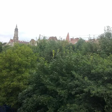 Rock Star Cracovia